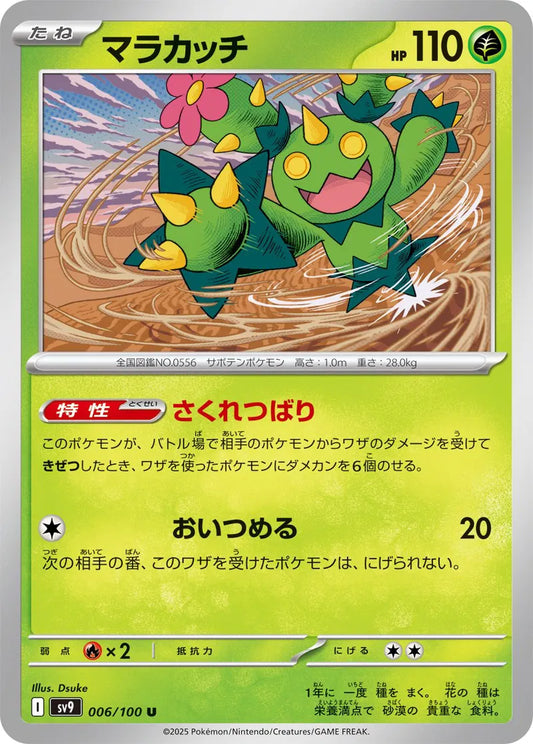 Maractus 006/100-U