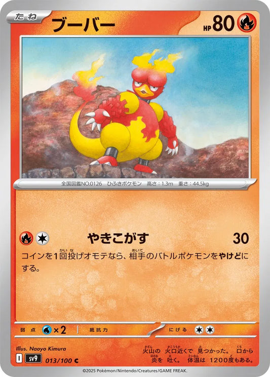 Magmar 013/100-C