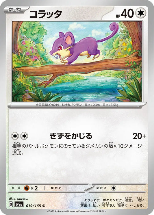 Rattata  019/165-C