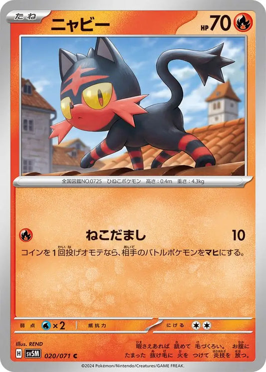 Litten 020/071-C