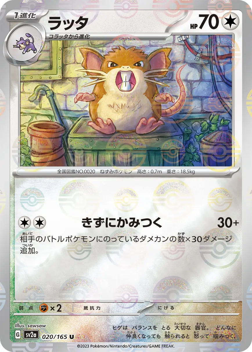 Raticate 020/165-U-Reverse Holo