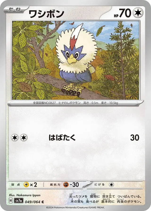 Rufflet 049/064-C