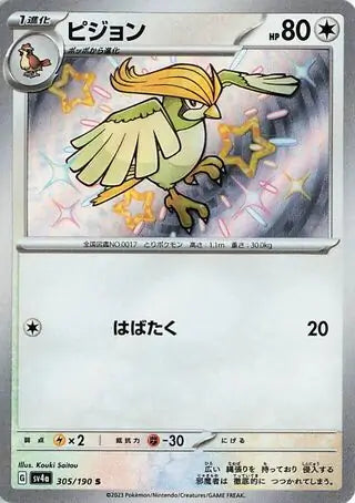 Pidgeotto 305/190-S